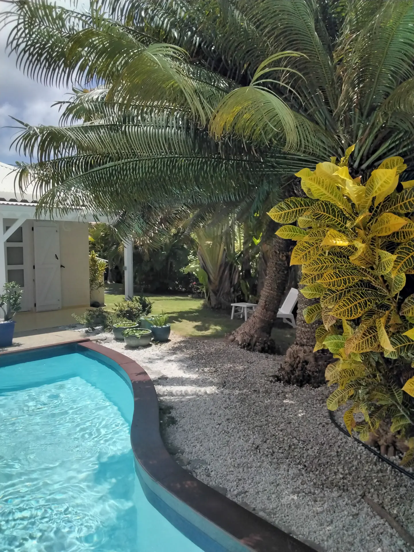 Habitation de l'anse mancenillier, piscine au bord du jardin verdoyant